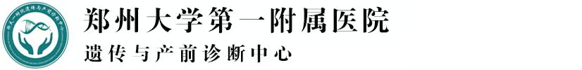 郑州大学第一附属医院 郑州大学第一附属医院